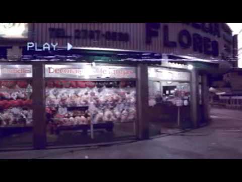 Lessa Gustavo - Hit do Foda-se (VHSBBQ)