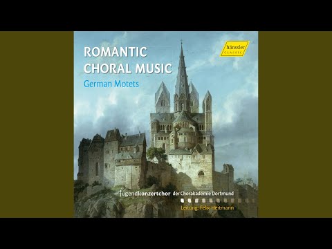 6 Geistliche Lieder: No. 3, Resignation