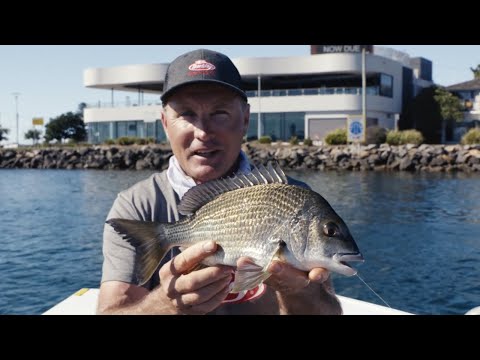 How To Catch Bream | Welcome To Fishing
