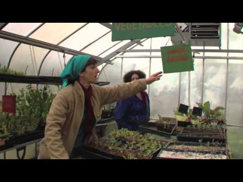 download lagu mp3 mp4 Edible City Grow The Revolution, download lagu Edible City Grow The Revolution gratis, unduh video klip Edible City Grow The Revolution