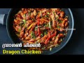 കിടിലൻ രുചിയിൽ ഡ്രാഗൺ ചിക്കൻ Dragon Chicken Recipe