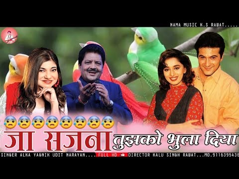 Song :- Ja Sajna Tujhko Bhula Diya Singers :- Alka yagnik Udit Narayan