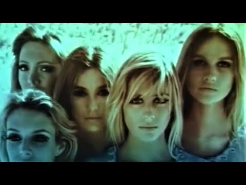 The Fleur de Lys - Gong With the Luminous Nose