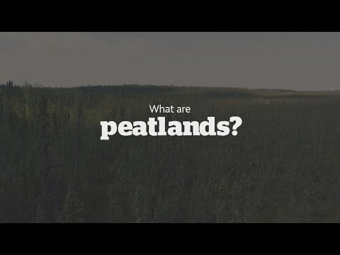 What are peatlands and why are they under threat?