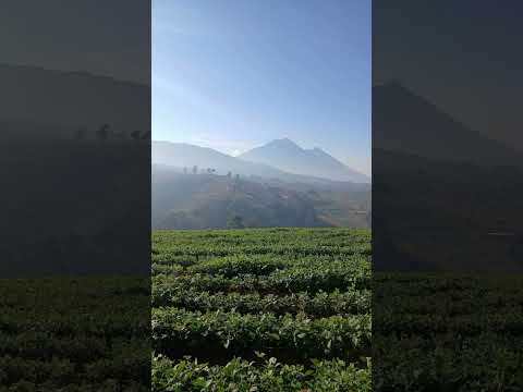 Excelente semana estimados paisanos, saludos desde Patzicía, Chimaltenango. 🇬🇹