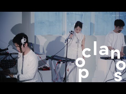 [MV] Pishu X Jang Myung Sun - Treegaze (with khc) (Live) / Official Live Video