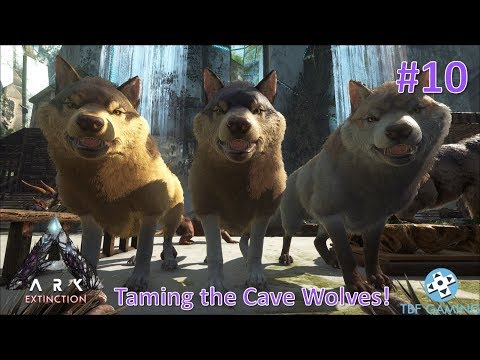 Taming Cave Dire Wolfs!  E10 Ark Survival Evolved Extinction DLC - Modded Series