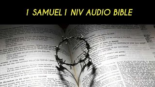 1 SAMUEL 1 NIV AUDIO BIBLE (with text)