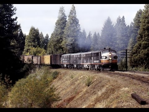 Black Widows Over Donner Pass | Circa 1958 - 1964