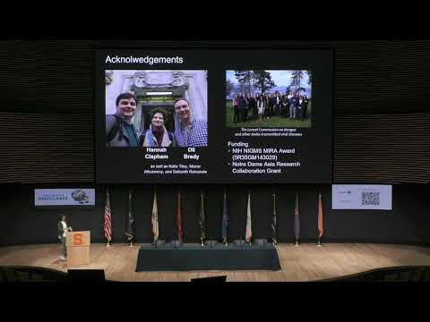 Challenges and opportunities in modeling dengue interventions