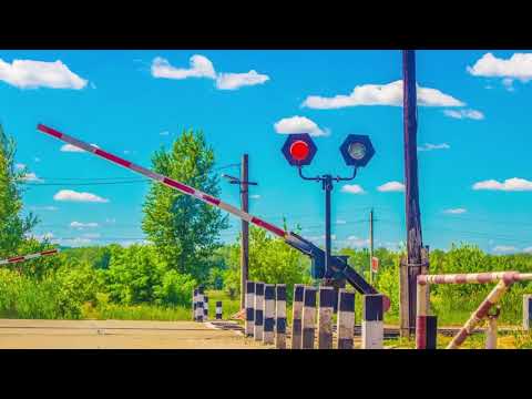 危機管理学科 夏の物語が始まりそうな、癒しの音楽【リラックスBGM】