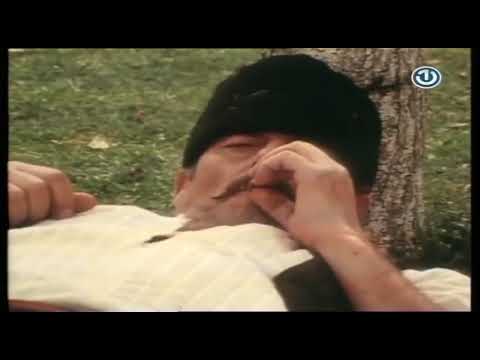 Priča o kmetu Simanu 1978 FILM