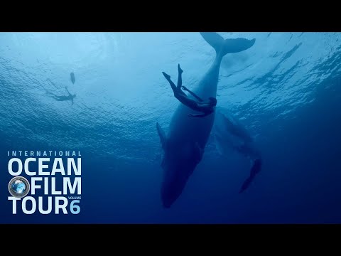 International OCEAN FILM TOUR Volume 6 | Official Trailer