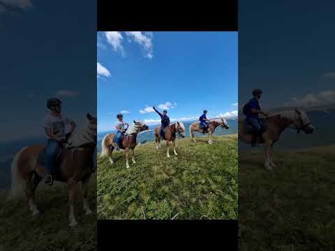 tura calare in muntii Leaota