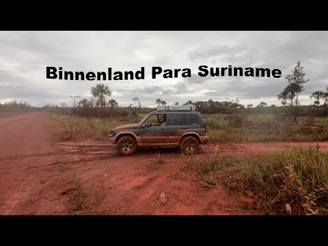 A Day In The Tropical Rainforest | Para Suriname