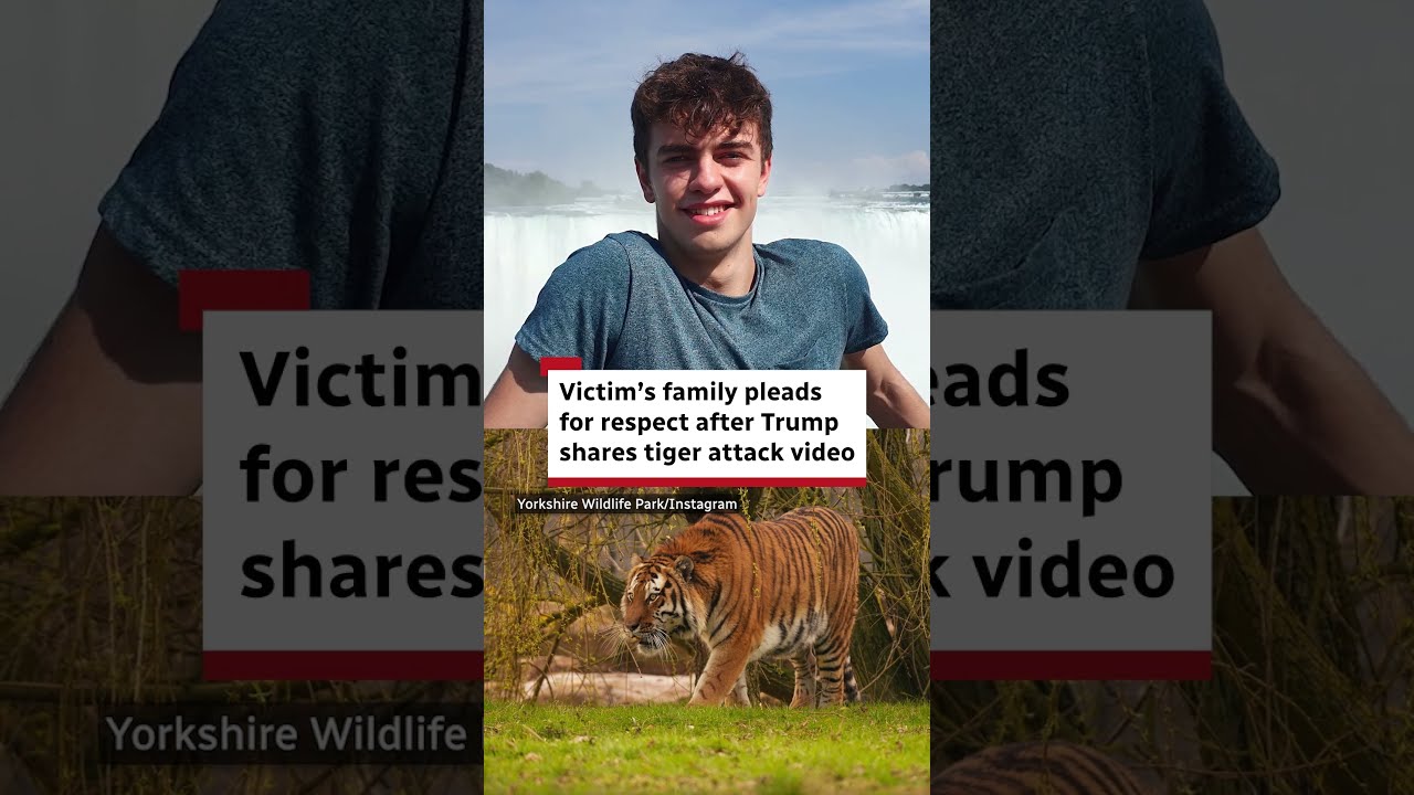 Man dies after entering tiger enclosure at U.K. wildlife park; Trump reshares attack video despite family plea