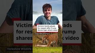 Man dies after entering tiger enclosure at U.K. wildlife park; Trump reshares attack video despite family plea