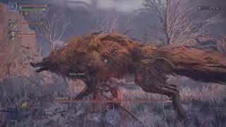 ELDEN RING NIGHTREIGN_20261015202054