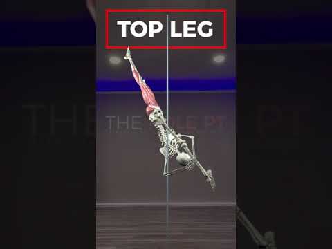 Pole Anatomy -  Bird of paradise