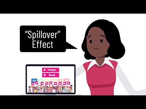 Introduction To Spillover