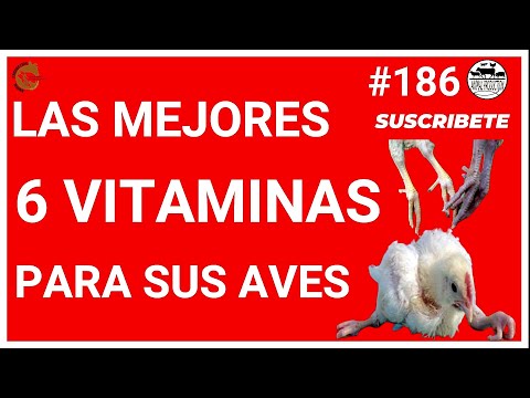 , title : '💡COMO OBTENER LAS 6 VITAMINAS NATURALES PARA SUS POLLOS Y GALLINAS🐔 ENGORDE MÁS RÁPIDO Y MAS HUEVO🥚'