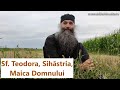 Sf Teodora De La Sihla Sihastria Maica Domnului P Pimen Vlad