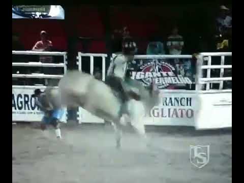 elvis bento pereira x terremoto cia rancho Primavera..final de candido mota