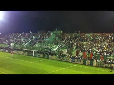 Verde mi buen amigo♪♫