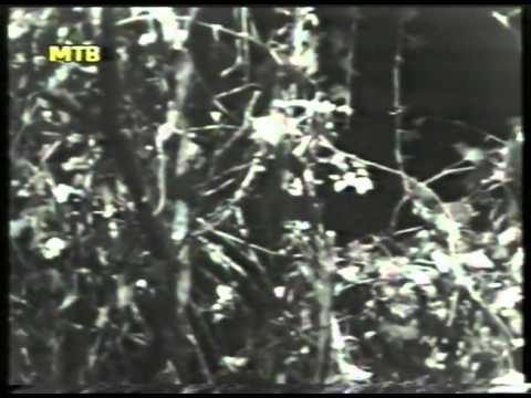 Cvetinite oci cerešovi   Duet Pavlovski