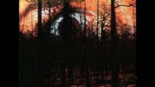 Dark Tranquillity - Zodijackyl Light.wmv