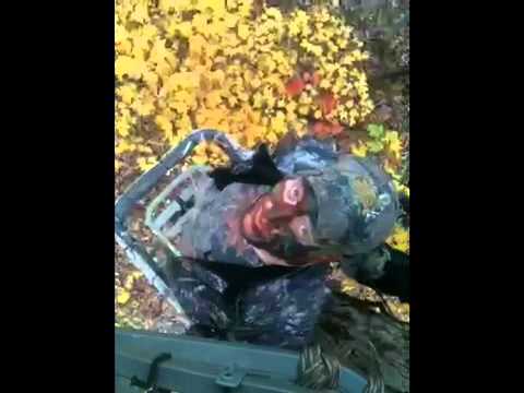 Bluegrass bone collectors 1.1