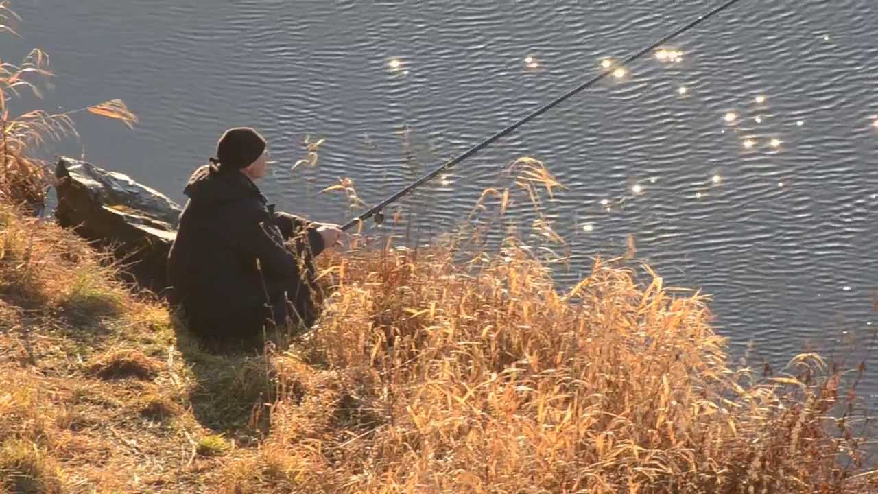 Штатив Sirui T-2204X углепластик (без головы)