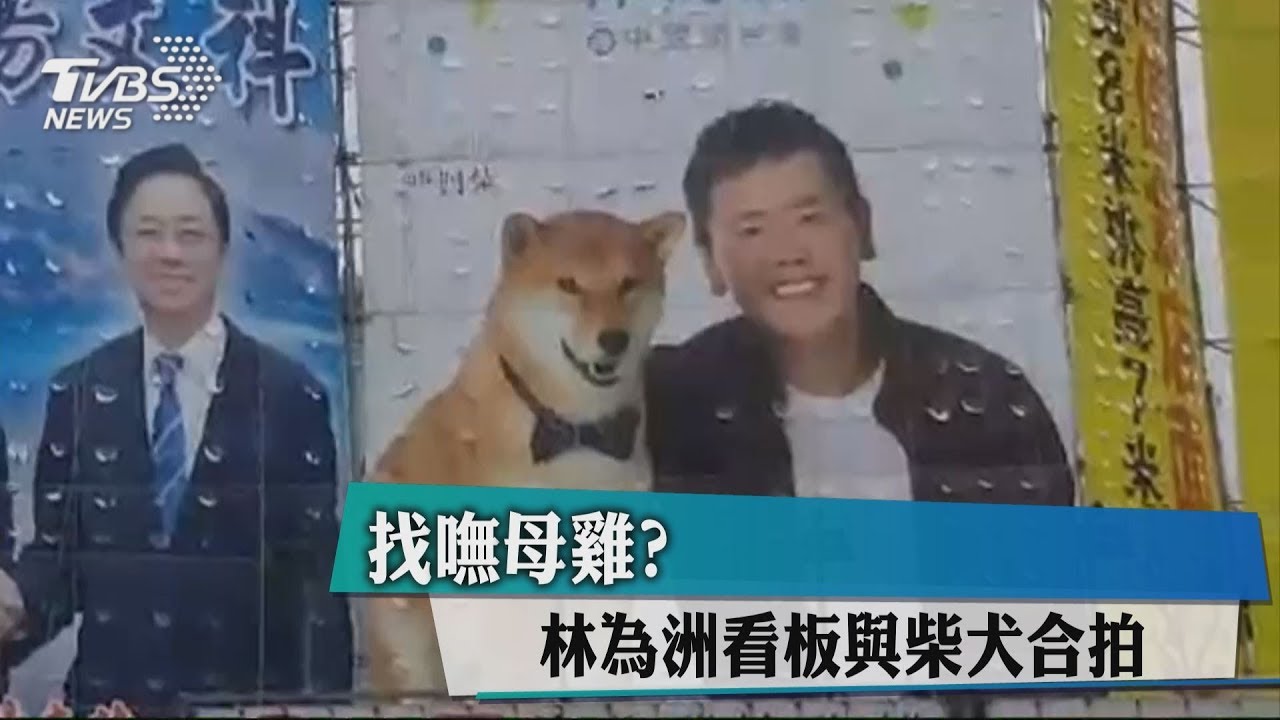 姚文智：柯文哲不會是綠市議員參選人母雞