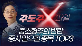 중소형주의 반란! 증시 일으킬 종목 TOP3 | 홀짝박사 '주도주 X파일' 260112