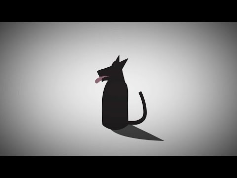 Brief History of Dogs