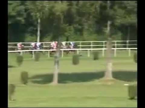 2015.07.19 Zlatý pohár (SVK) - Autor