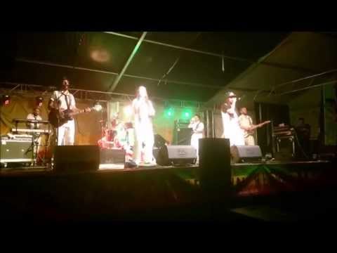 Train to Roots - Live!