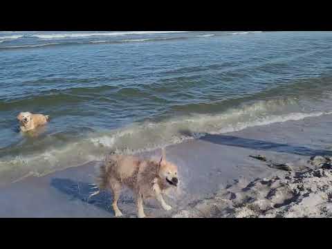Sehlendorf an der Ostsee Hohwachter Bucht