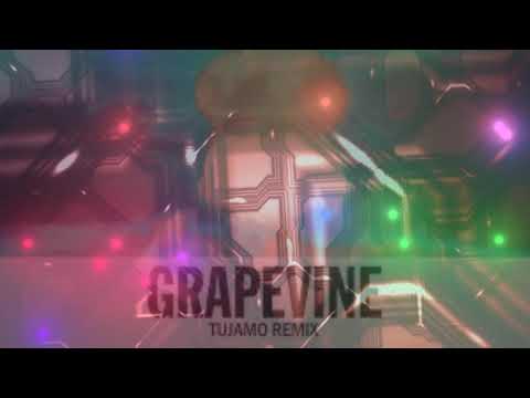 Afrojack & Brohug ft. Titus & DES3ETT vs Tiesto & Tujamo - Let It  Grapevine (DJ M@GGiC MASHUP)