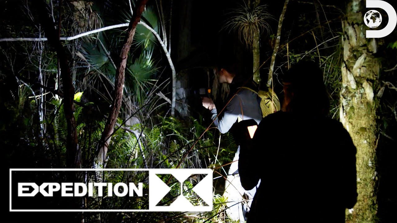 YouTube Thumbnail Downloader FULL HQ IMAGE