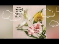 Punto y aparte // Morat || Lyrics - sub Ingles (audio) Punto y aparte // Morat || Lyrics - sub Ingles (audio)