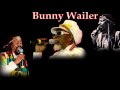 Bunny Wailer - I'm The Toughest