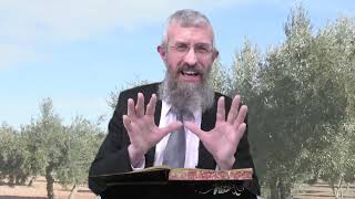 מסכת מנחות דף פט - 8 דקות של לומדות ועמקות בדרך הלימוד הישיבתית [Menachot 89]