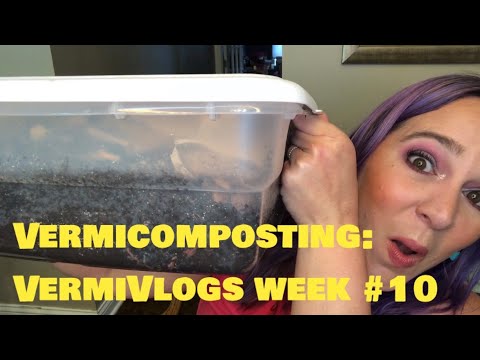 Vermivlogs Week #10: Vermicomposting
