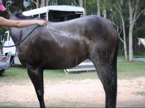 download lagu mp3 mp4 Galloway Hack, download lagu Galloway Hack gratis, unduh video klip Galloway Hack