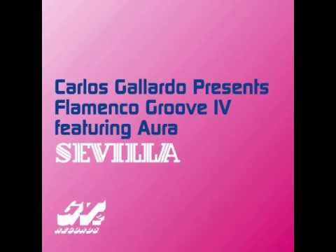 Carlos Gallardo - Flamenco Groove