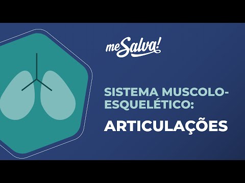 Musculoskeletal System – Joints - Basic Human Anatomy - Me Salva! Health