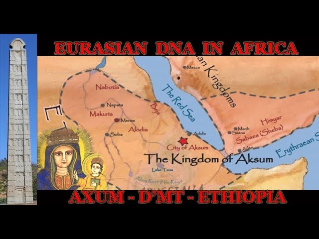 Eurasian DNA in Africa - AXUM D'MT Ethiopia