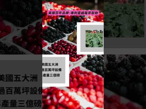 【野菜村】蔓越莓益生菌 60粒