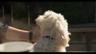 SOLD Under the hammer with competitive bidding 31A Kawarau Place.